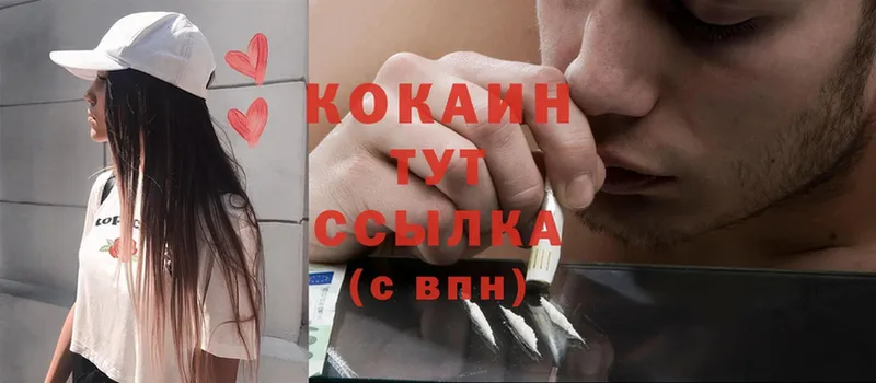 купить закладку  Кизел  Cocaine Боливия 